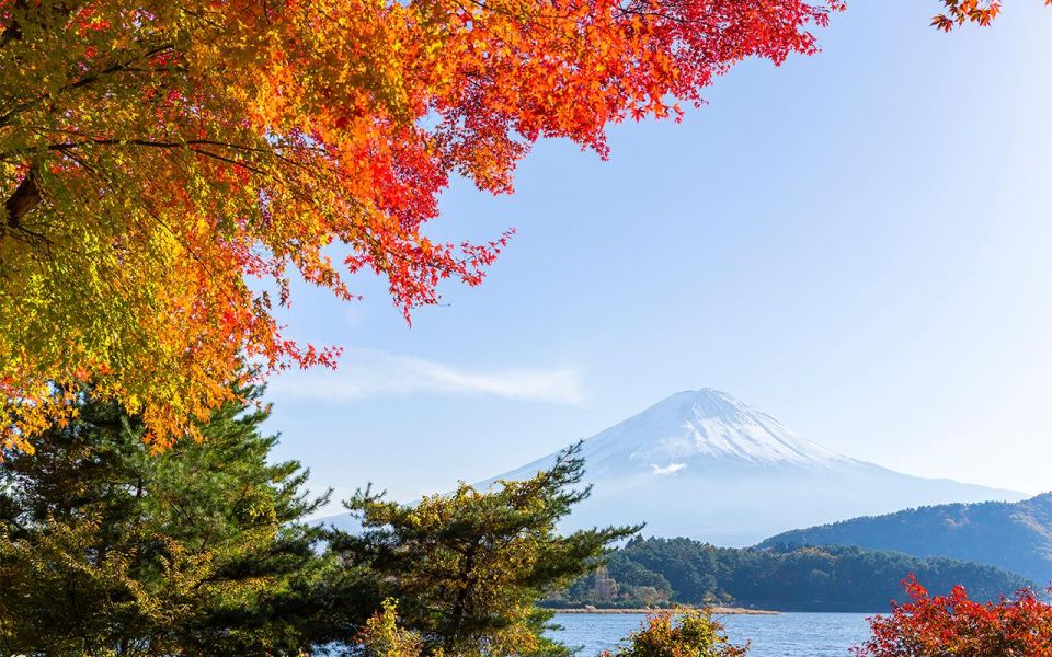 Mt Fuji : Highlight Tour and Unforgettable Experience - Essential Tour Information