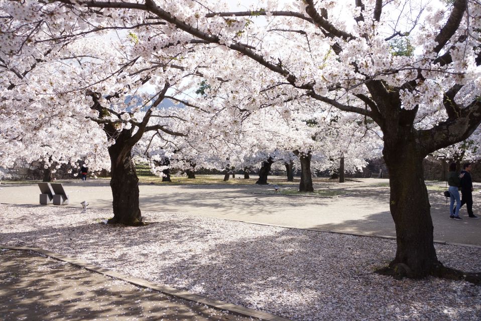 Nagano: 1-Day Snow Monkey & Cherry Blossom Tour in Spring - Northern Naganos Hidden Gems