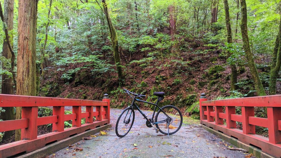 Nara: Heart of Nature Temple, Forest, & Waterfall Bike Tour - What to Expect on Tour