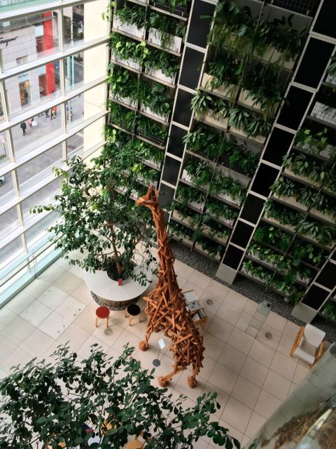 Private Ginza Architecture Tour - What to Expect and Inclusions