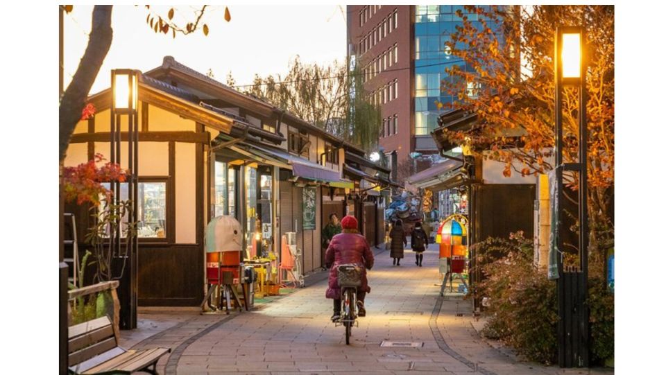 Snow Monkey & ZinkoJi With Sake Tasting Private Tour - What to Expect on the Tour