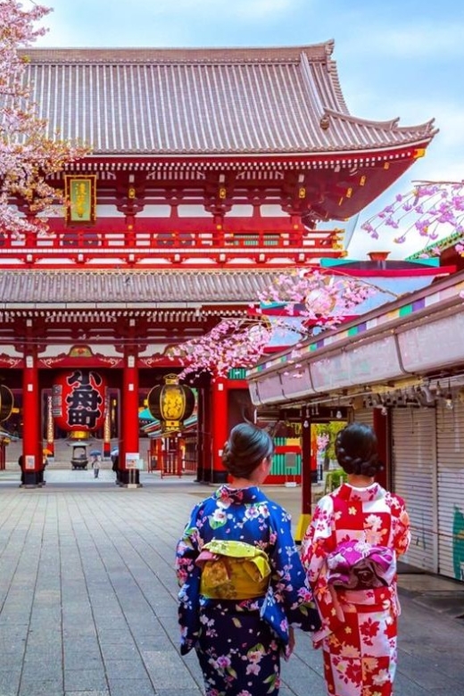 Tokyo: Full Day Private Walking Tour With a Guide - Important Tour Details and Reviews