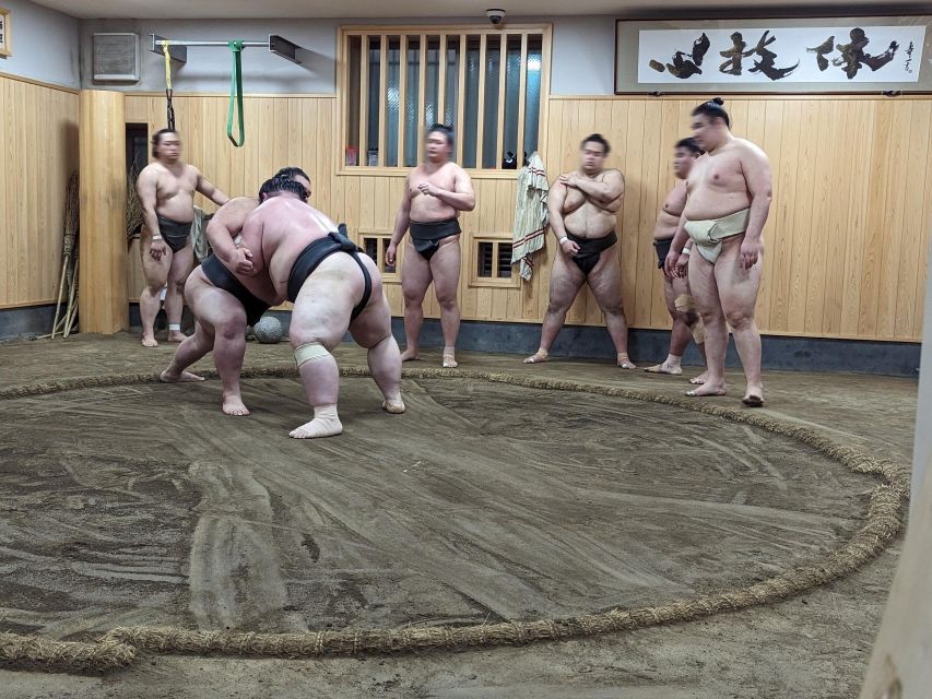 Tokyo: Morning Sumo Practice Viewing - Logistics and Important Details