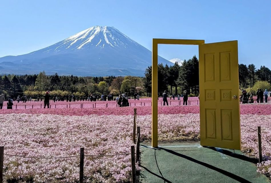 Tokyo: Mount Fuji Customizable Private Tour by Car - Discover Japans Natural Beauty