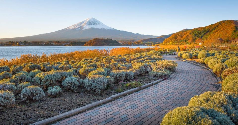 Tokyo: Mt Fuji Day Tour With Kawaguchiko Lake Visit - Scenic Stops and Attractions