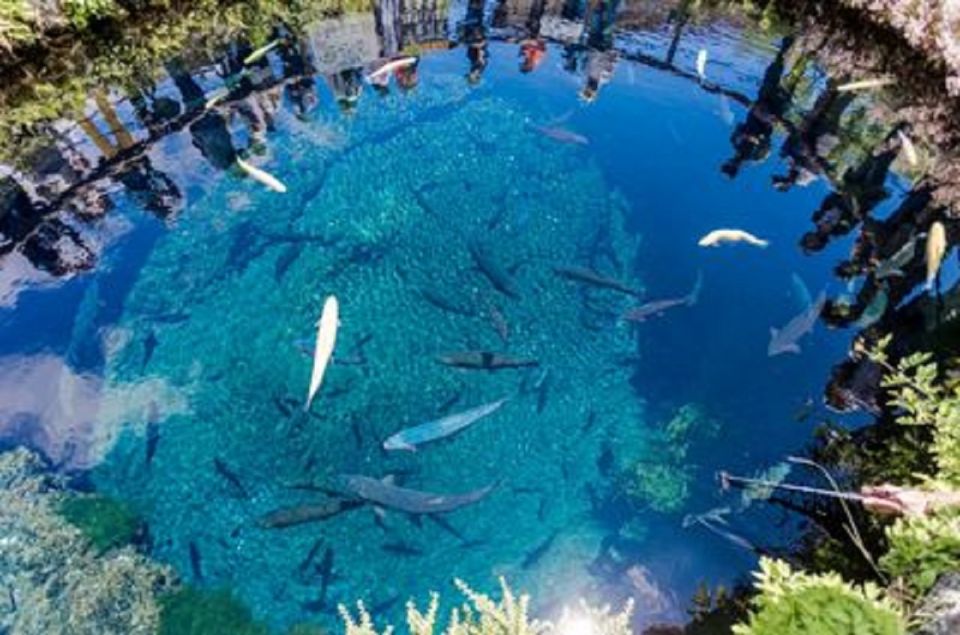 Tokyo: Mt.Fuji, Oshino Hakkai, and Outlets Full-Day Trip - Important Trip Information