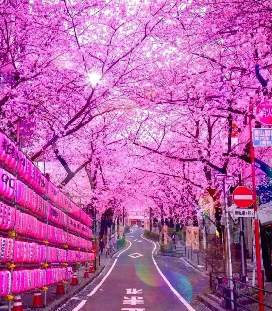 1 Day Tokyo Private Charter Sightseeing Tour With Guide - Reviews From Past Travelers