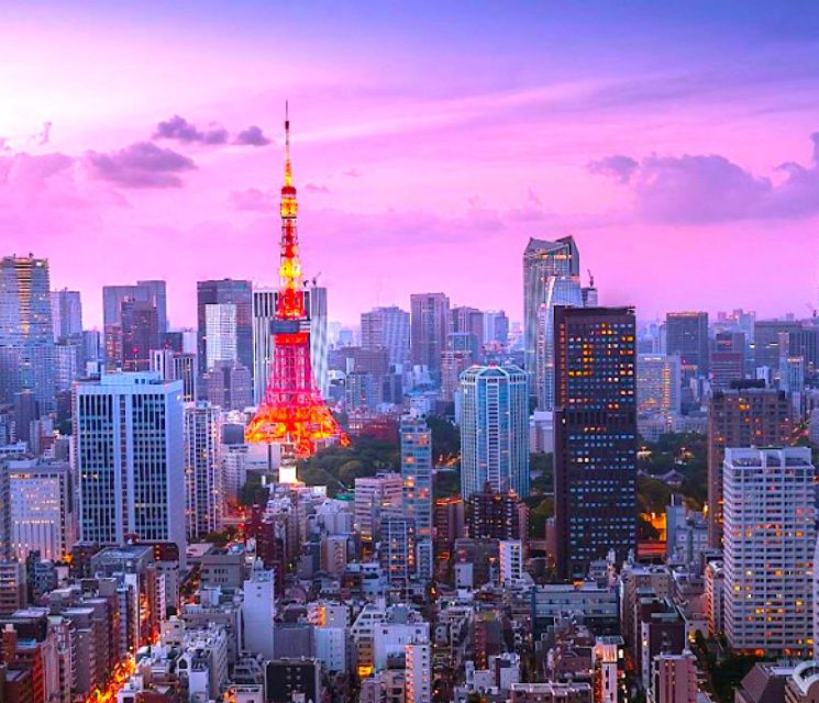 2-Day Private Tokyo MT Fuji and Hakone Tour With Guide - Discovering Mt Fuji and Hakone