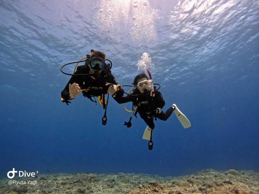 From Naha Scuba Diving Trip in Kerama(For Certified Divers) - Dive Trip Logistics and Rules