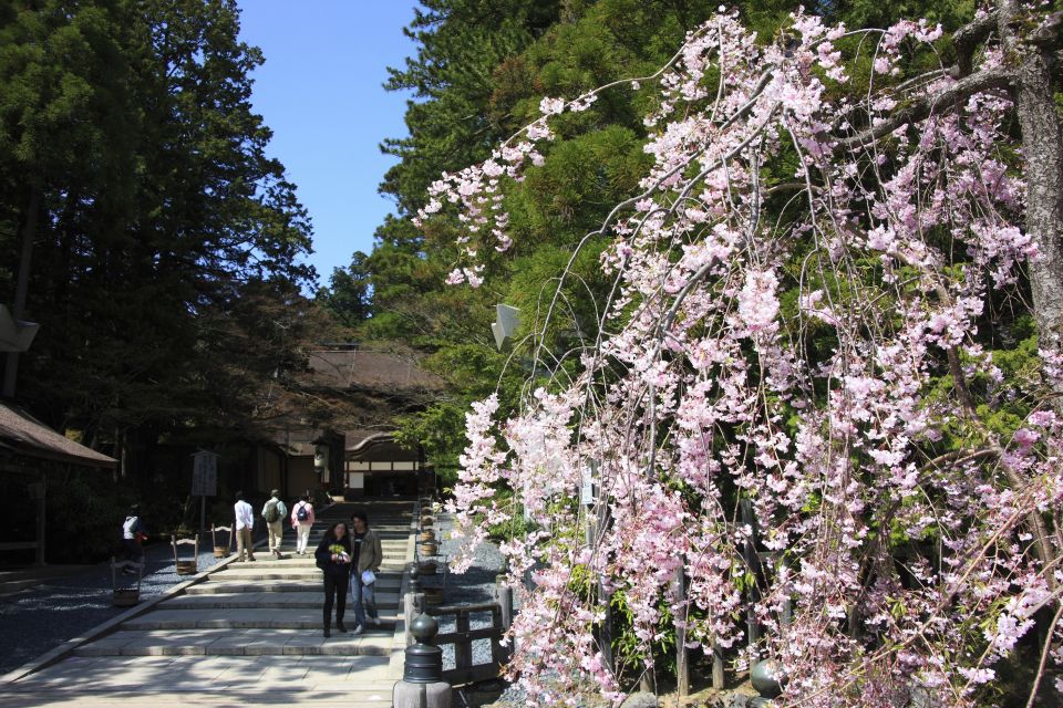 From Osaka: Mt. Koya Private Walking and Train Tour - Preparing for Your Private Tour