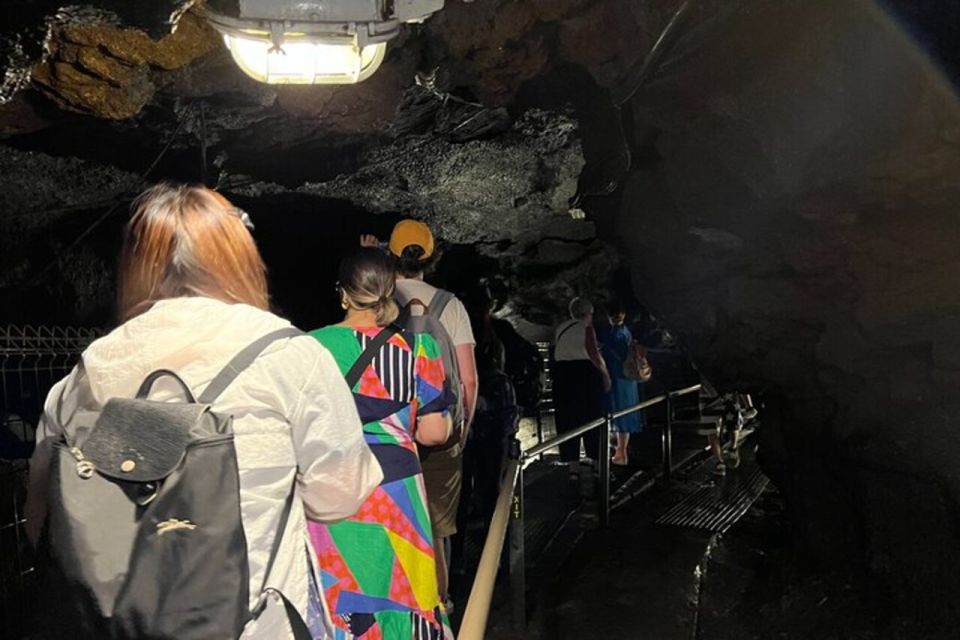 From Tokyo: Guided Aokigahara Forest and Mt.Fuji Day Tour - Reviews and Ratings Overview