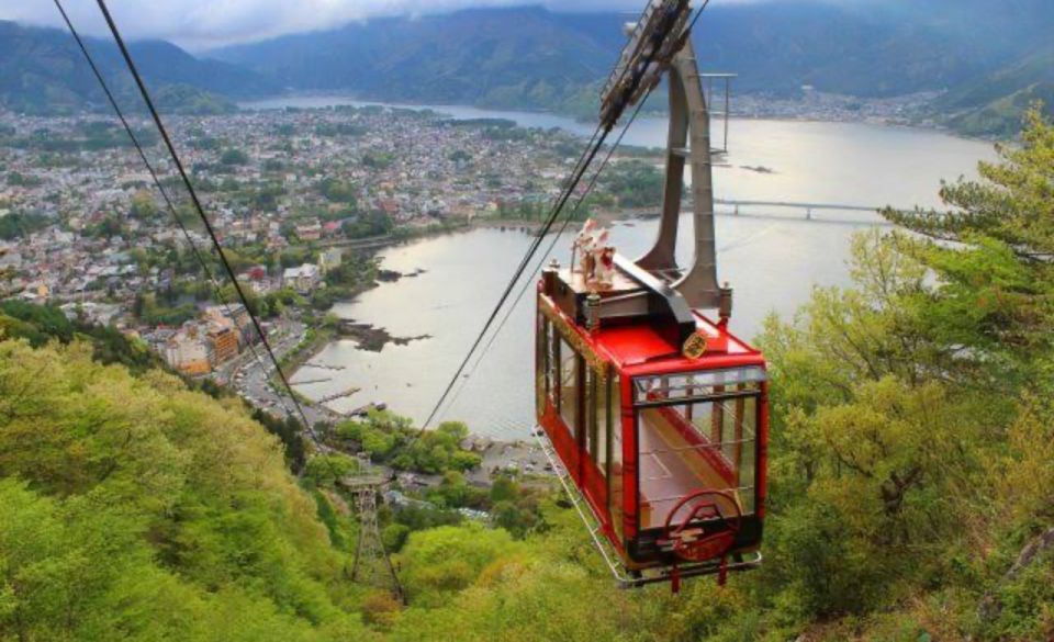 From Tokyo: Mount Fuji Full Day Private Tours English Driver - Reviews and Ratings