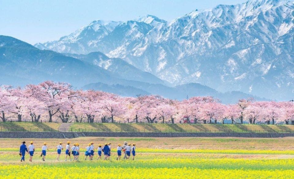 From Tokyo: MT Fuji Hakone Owakudani Valley Private Tour - Pickup and Drop-off Locations