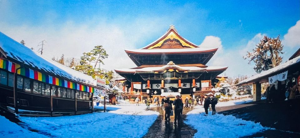 From Tokyo or Nagano: Jigokudani Snow Monkey Park & Zenko-Ji - Private Tour Benefits and Flexibility