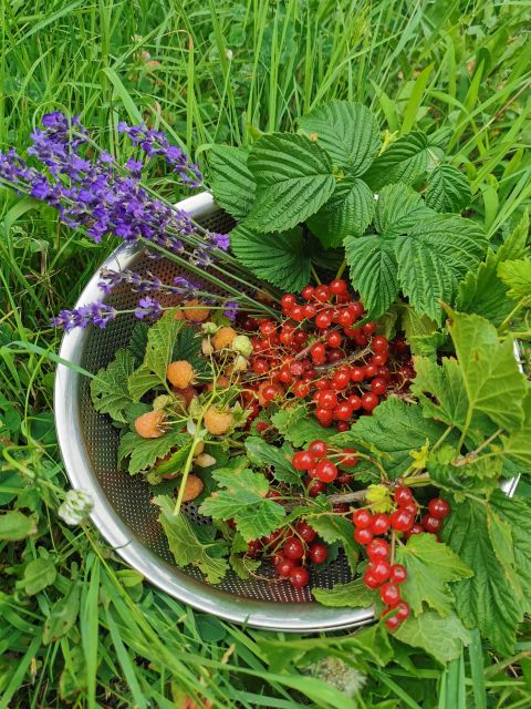 Hokkaido Nature and Gourmet Experience (near Lake Toya) - Getting to the Experience