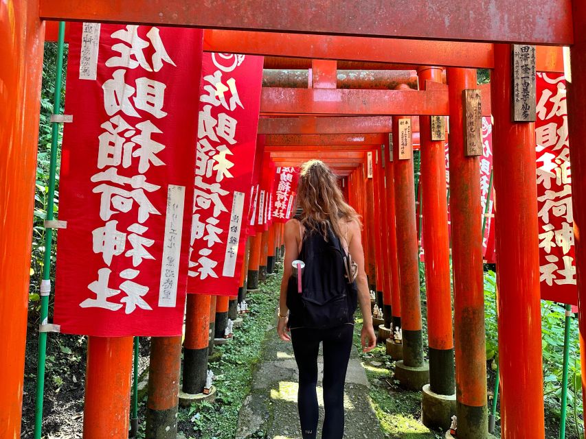 Kamakura Hidden Hike - What to Expect on This Tour