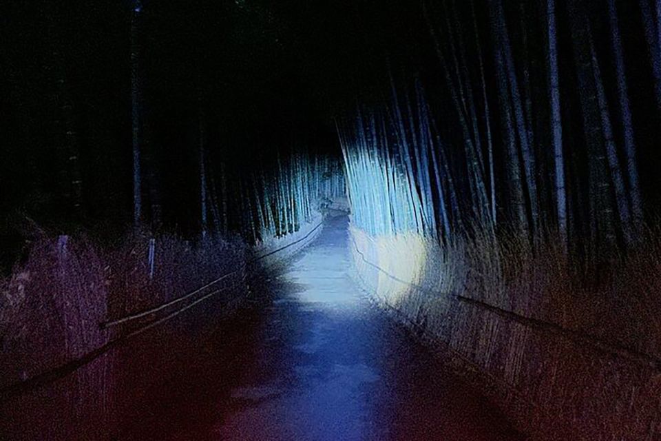 Kyoto Ghost Tour: Ghosts, Mysteries & Bamboo Forest at Night - Reviews From Fellow Travelers