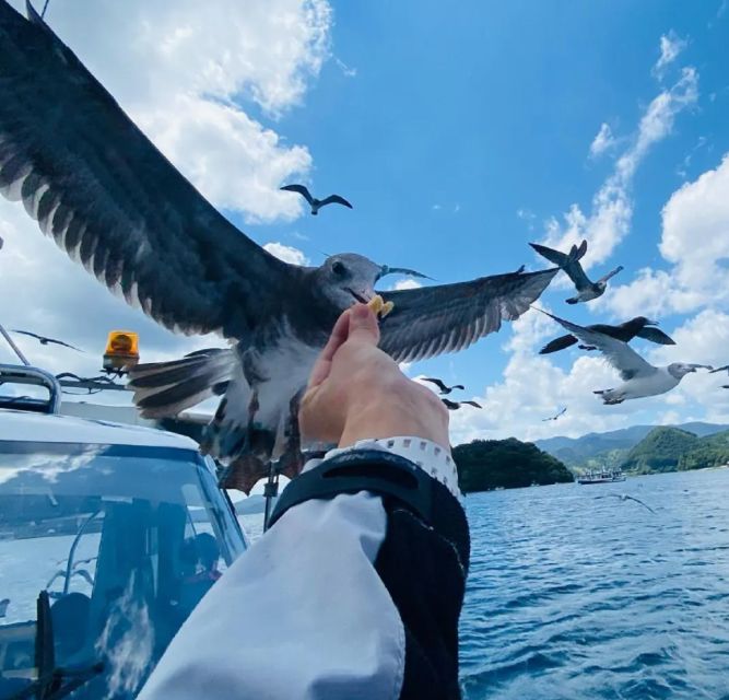 Kyoto/Osaka: Kyoto Coast, Amanohashidate & Ine Bay Day Trip - Ine Bays Charming Fishing Village