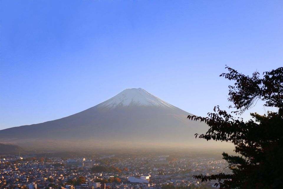 Mount Fuji and Hakone Full Day Private Tour - Pricing and Booking Information