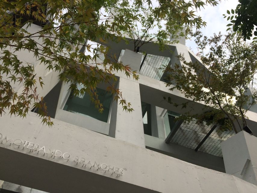 Private Harajuku Omotesando Architecture Tour - What to Expect on This Tour