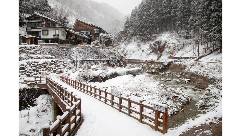 Snow Monkey & ZinkoJi With Sake Tasting Private Tour - Important Details and Reminders