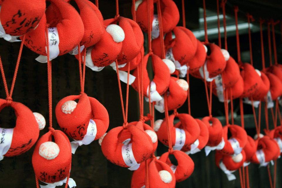 Takayama Full Day Tour (Private Guided) - Why Choose This Guided Tour