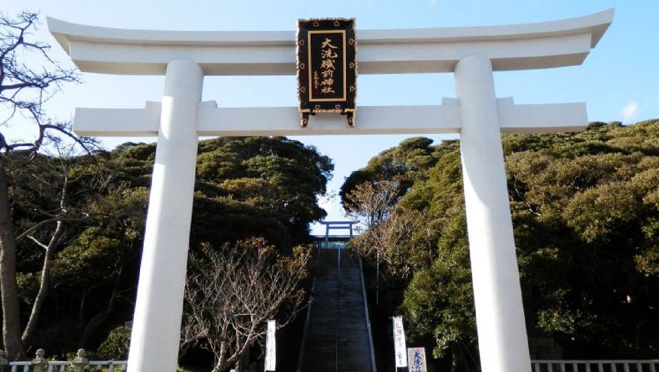 Tokyo: Ibaraki, Hitachi Park & Oarai Isosaki Shrine Day Trip - Regional Food and Seafood Delights