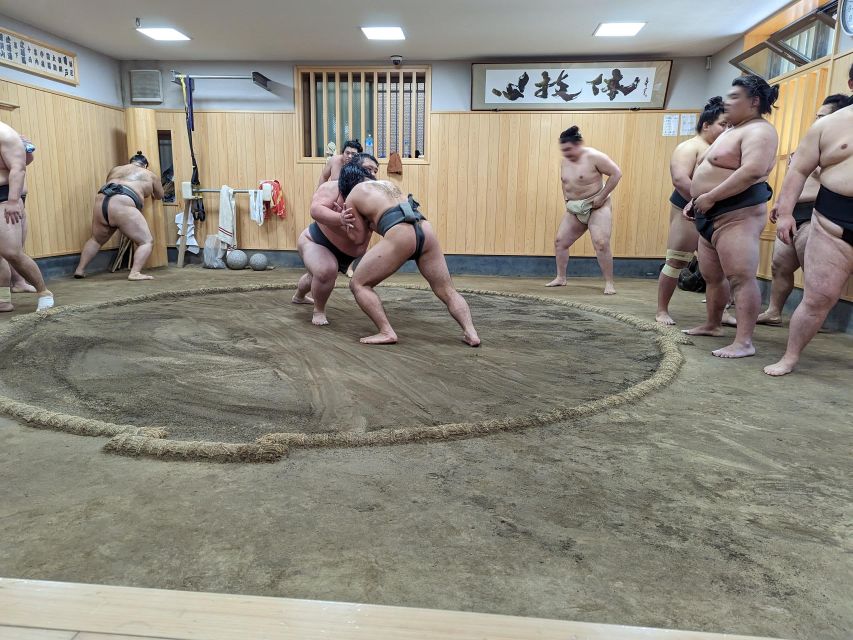 Tokyo: Morning Sumo Practice Viewing - Etiquette and Rules to Follow