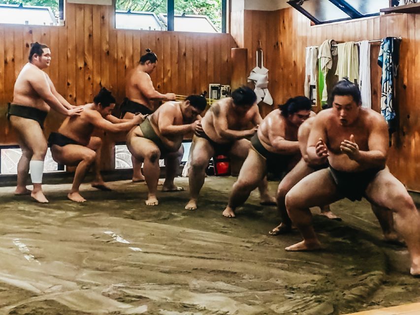 Tokyo: Sumo Morning Training Visit - Sumo Stable Visit Highlights