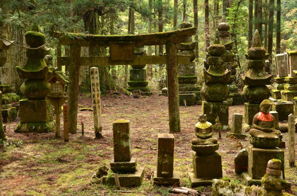 Wakayama: Mt. Koya Private Walking Tour With Local Guide - Important Tour Details