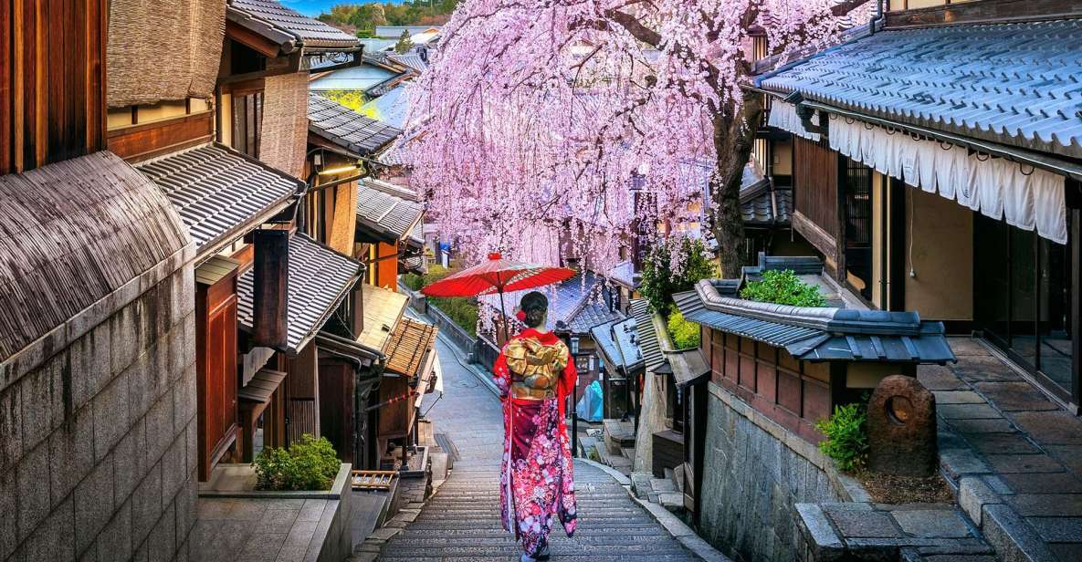 3 Days Private Osaka Kyoto and Nara Tour With English Driver - Customization and Flexibility
