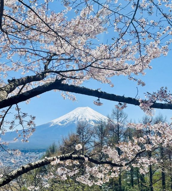 4 Seasons Trip & Tours - Preparing for Your Adventure