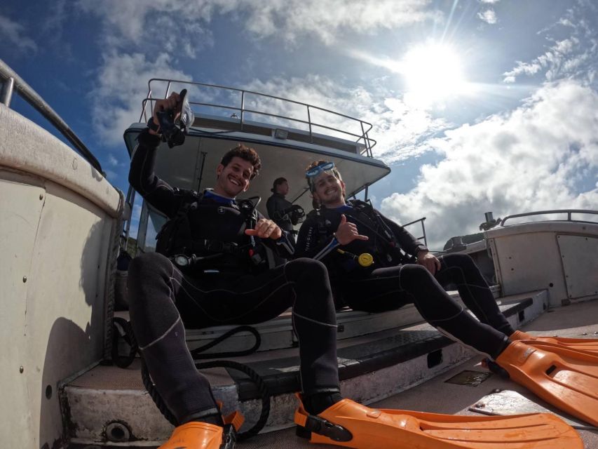 From Naha Scuba Diving Trip in Kerama(For Certified Divers) - Cancellation and Refund Policy