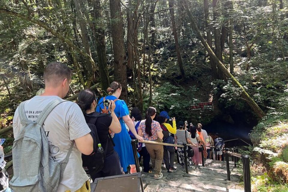 From Tokyo: Guided Aokigahara Forest and Mt.Fuji Day Tour - Book Your Guided Day Tour