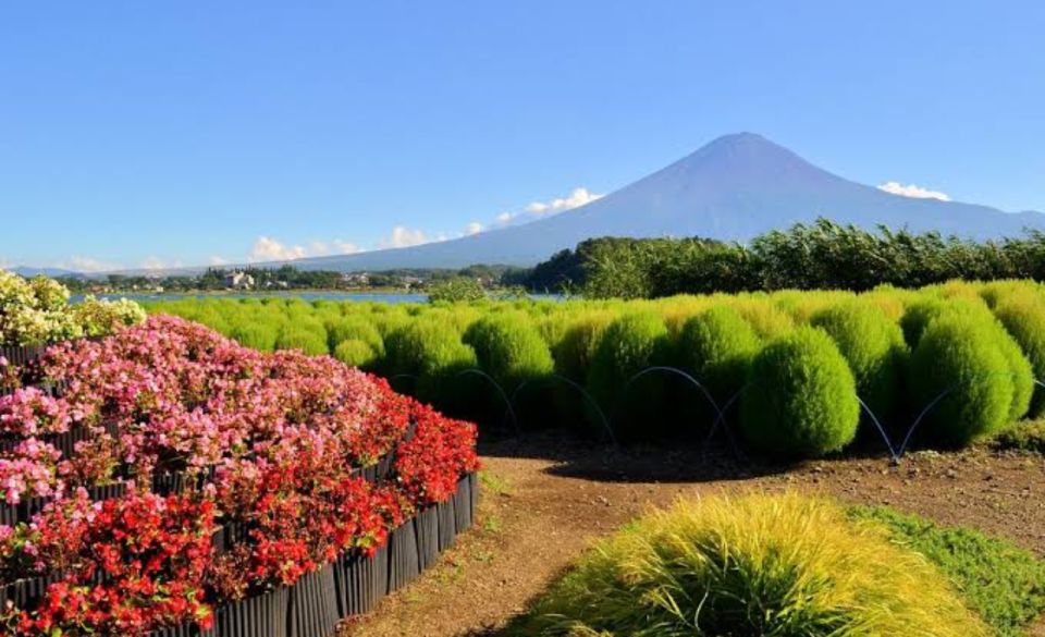 From Tokyo: Mount Fuji Full Day Private Tours English Driver - Additional Information