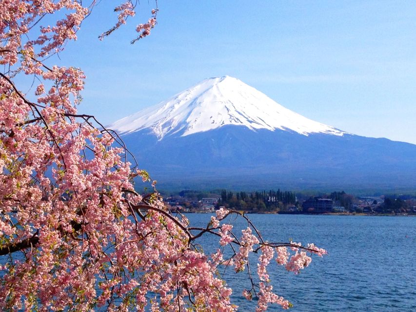 From Tokyo: Mt. Fuji or Hakone Private Sightseeing Day Trip - Mt. Fuji and Hakone Tour Benefits