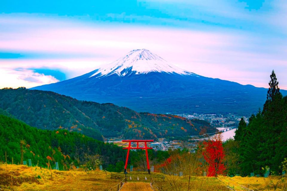 From Tokyo: Private Mount Fuji & Hakone Full-Day Guided Trip - Essential Tour Details and Tips