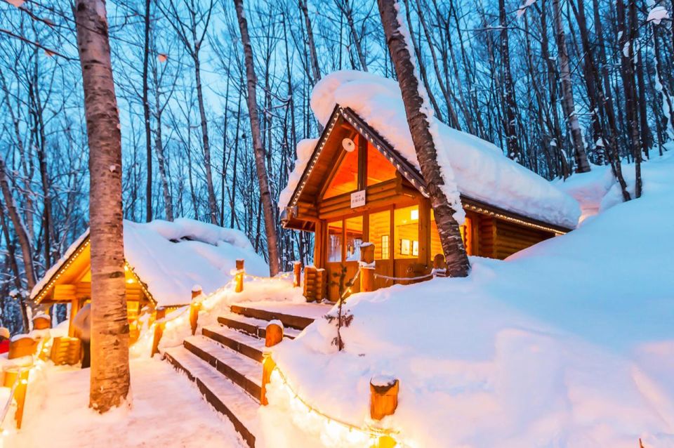 Hokkaido: Asahiyama Zoo, Furano, and Ningle Terrace Tour - Essential Tour Details