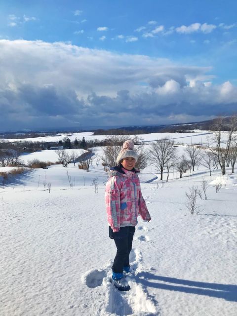 Hokkaido Nature and Gourmet Experience (near Lake Toya) - Whats Included in the Package