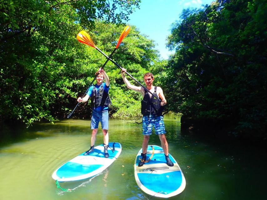 Ishigaki Island: 2-Hour Miyara River Kayaking Tour - Booking and Pricing Information