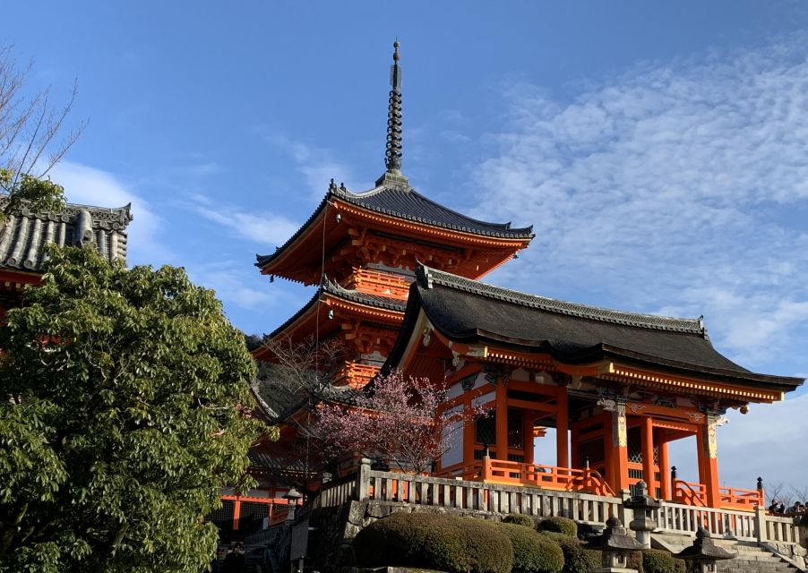 Kiyomizu Temple and Backstreet of Gion Half Day Private Tour - Preparing for Your Walking Tour