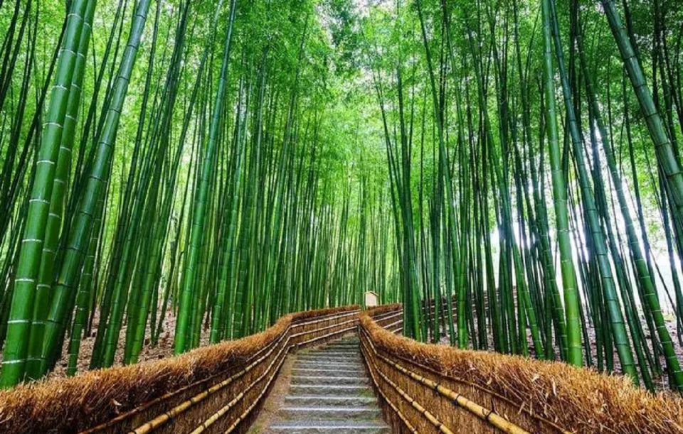 Kyoto/Osaka: Sanzenin, Bamboo Forest, & Arashiyama Day Trip - Optional Tenryuji Temple Visit