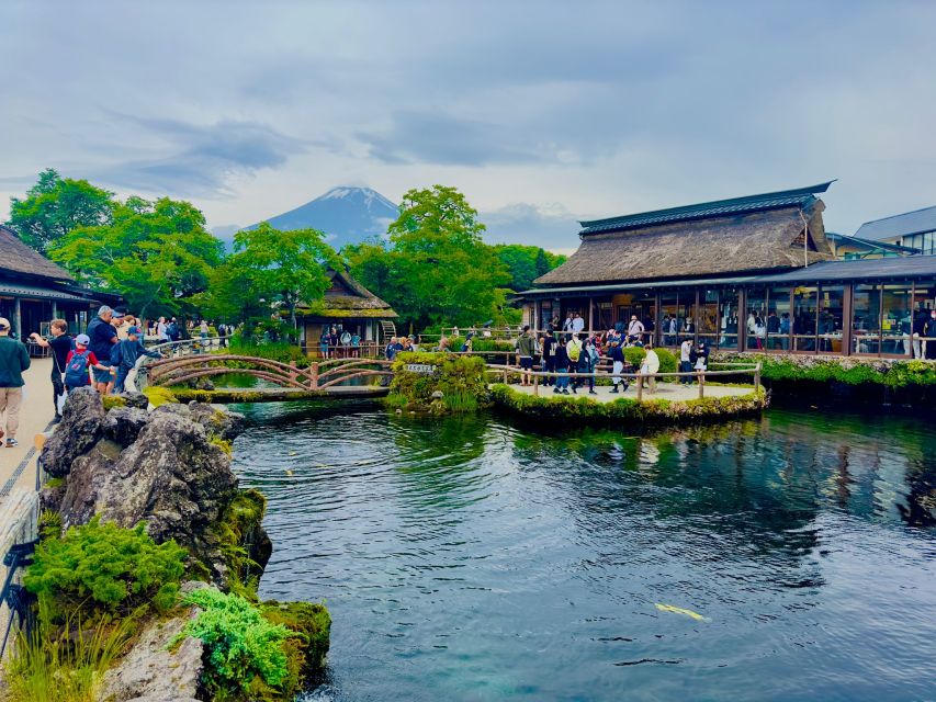 Mount Fuji Hakone With English-Speaking Guide - Traveler Reviews and Ratings