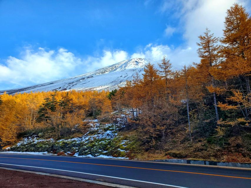 Mt Fuji: Full Day Private Tour With English Guide - Booking and Cancellation Policy