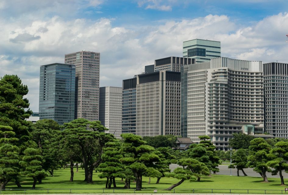 Tokyo: 1-Day Private Customizable Tour by Car - Enhancing Your Tour Experience