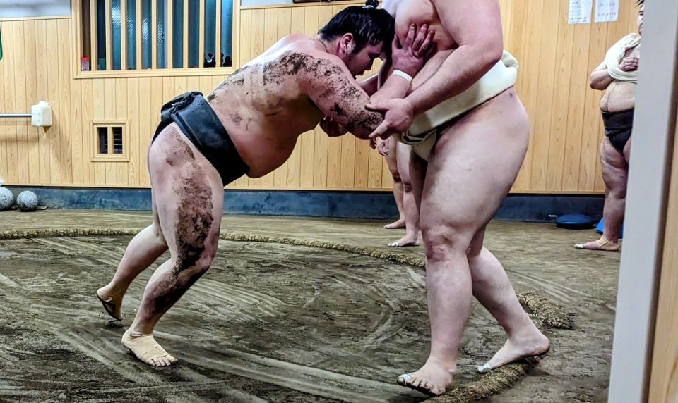 Tokyo: Morning Sumo Practice Viewing - Reviews From Past Participants