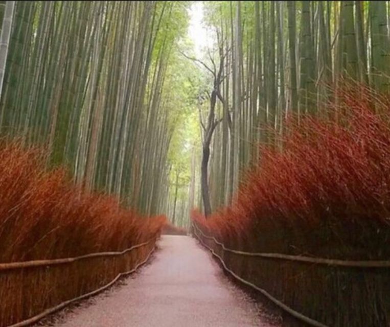 3 Days Private Osaka Kyoto and Nara Tour With English Driver - Booking and Cancellation Policy