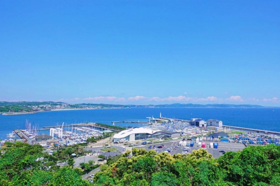 From Tokyo: Kamakura, Hasedera Temple and Enoshima Day Trip - Exploring Kamakura and Hasedera