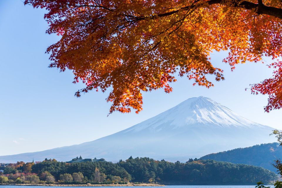 From Tokyo: Mt. Fuji or Hakone Private Sightseeing Day Trip - Booking and Cancellation Policies