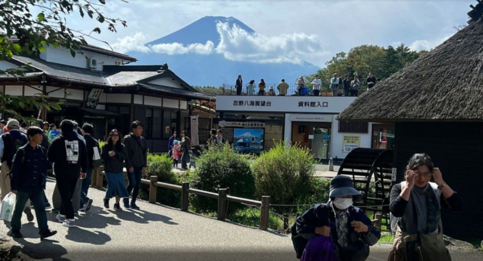 From Tokyo: Mt. Fuji Sightseeing Private Day Tour - Booking and Cancellation Policies